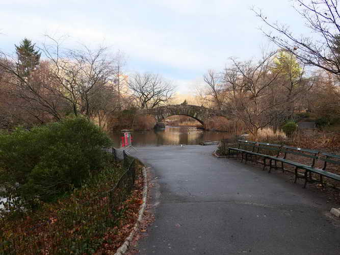 NYC_2020-01-26 08-40-59_P1070474